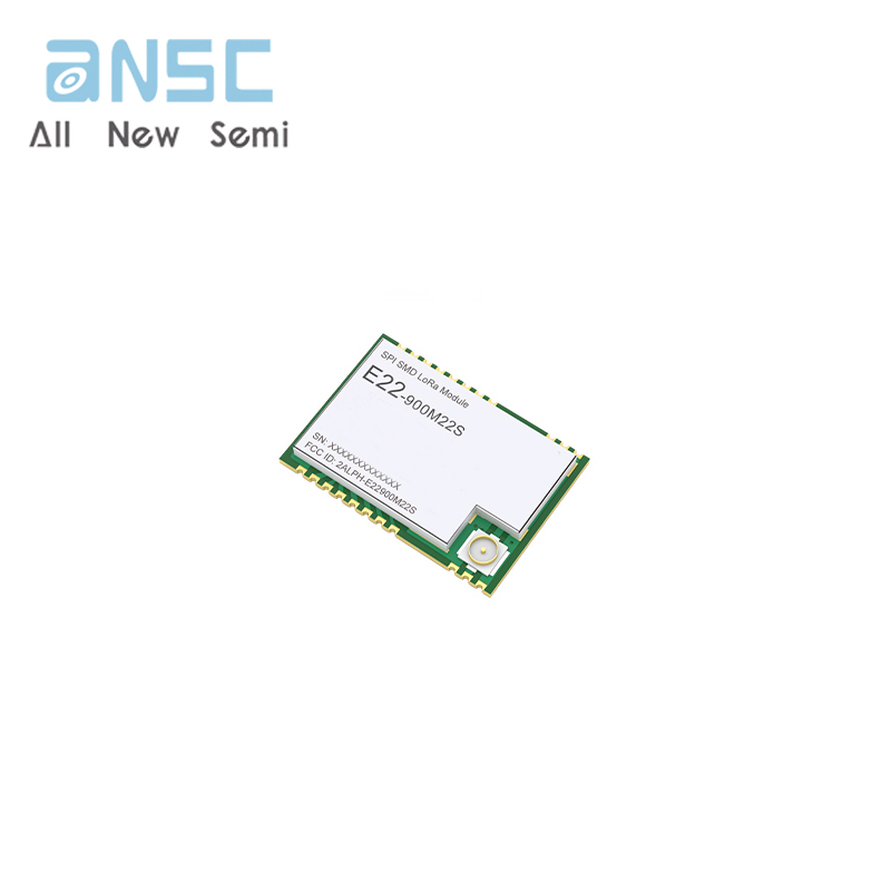 E22-900M22S E22-900M22S