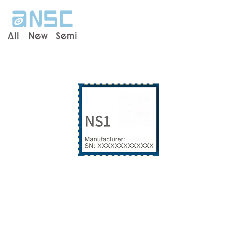 NS1