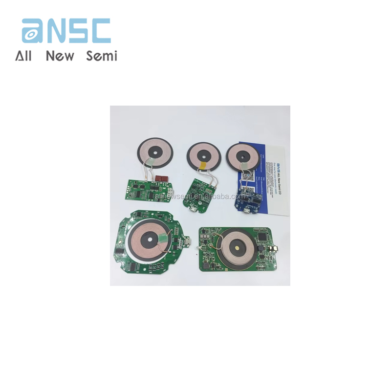 ANSC24V