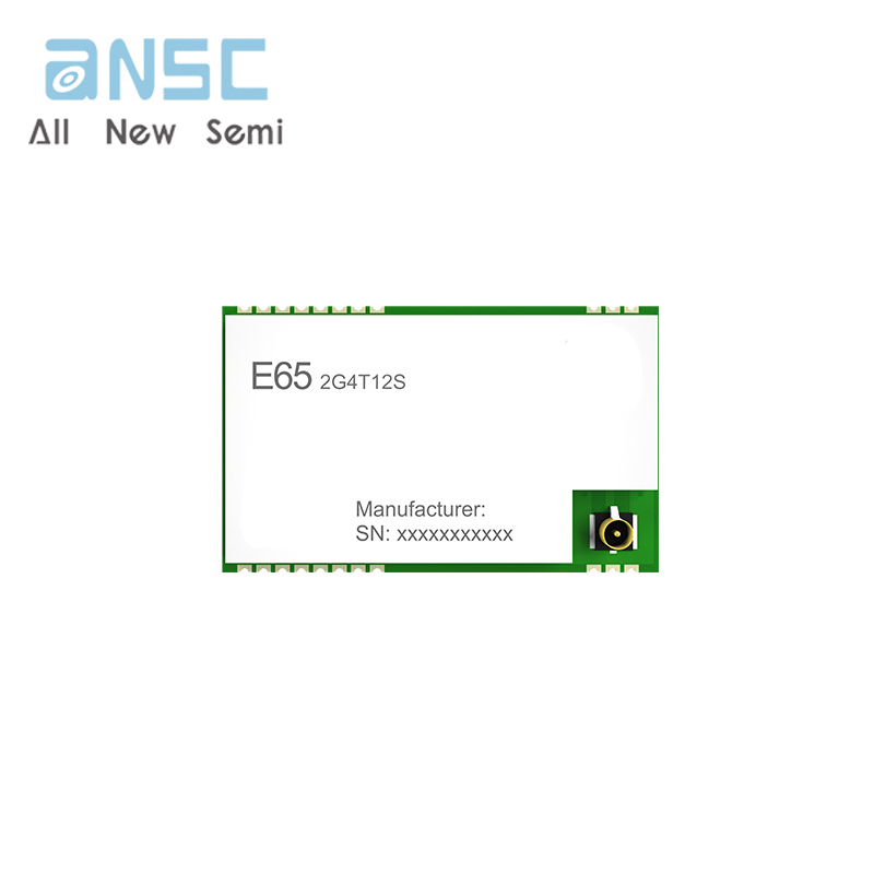 E65-2G4T12S E65-2G4T12S