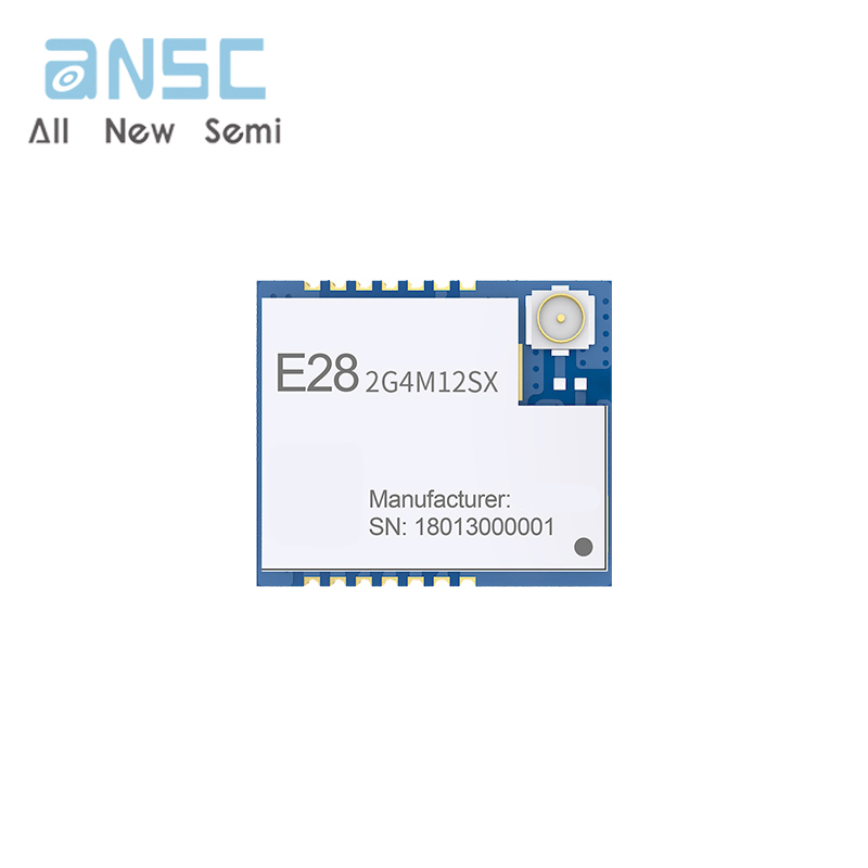 E28-2G4M12SX E28-2G4M12SX