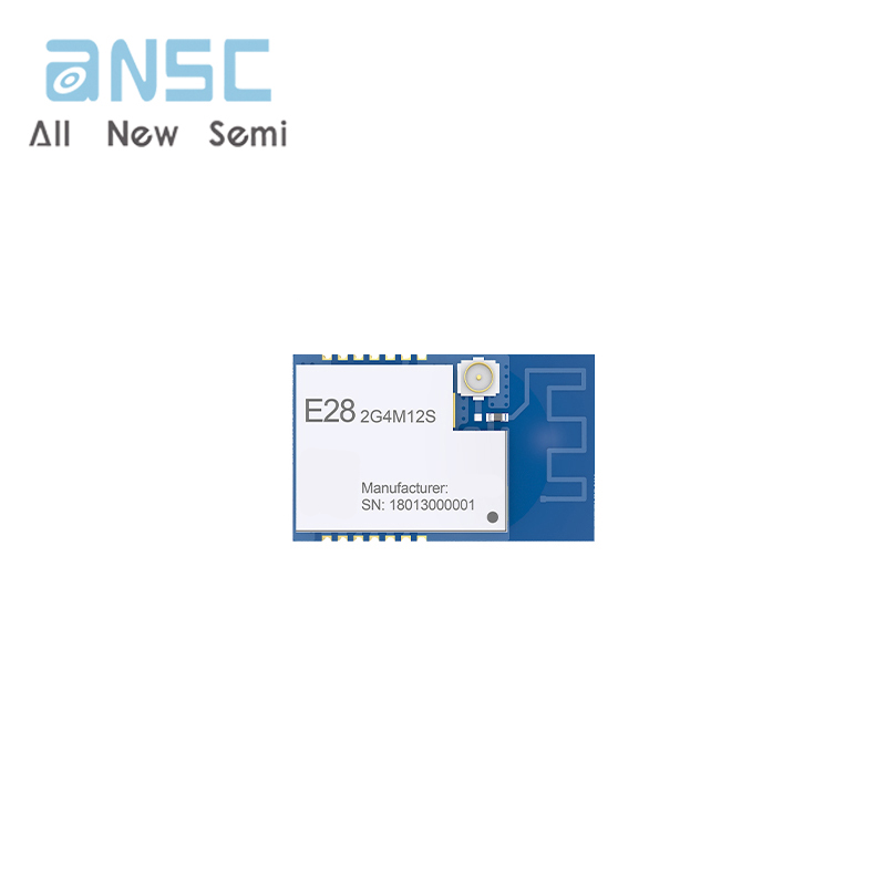E28-2G4M12S E28-2G4M12S